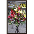 CBF-014